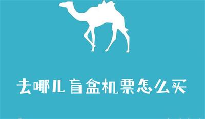 去哪儿盲盒机票怎么买 去哪儿盲盒机票购买教程