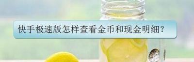 快手极速版怎么查看提现记录 快手极速版查看提现记录的教程 快手极速版怎么查看提现记录 快手极速版查看提现记录的教程