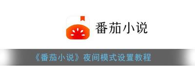 番茄小说软件怎么设置夜间模式 番茄小说软件夜间模式设置的方法