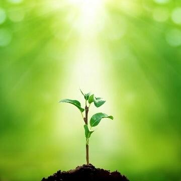 百词斩背单词有效果吗 百词斩背单词真的有用吗 百词斩背单词有效果吗 百词斩背单词真的有用吗