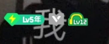 QQ音乐12级是什么意思 QQ音乐12级要听歌多久
