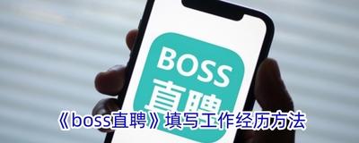 boss直聘工作经历怎么写 boss直聘填写工作经历的方法