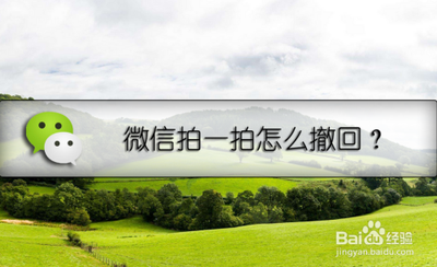 微信拍一拍怎么撤回 微信拍一拍消息怎么撤回 微信拍一拍怎么撤回 微信拍一拍消息怎么撤回