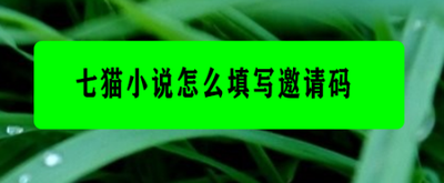 七猫小说怎么添加邀请码 七猫小说添加邀请码教程