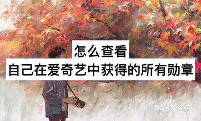 爱奇艺勋章在哪里查看 查看爱奇艺徽章方法