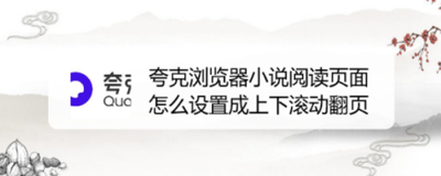 夸克阅读模式怎么左右翻页 夸克浏览器小说阅读模式左右翻页设置方法 夸克阅读模式怎么左右翻页 夸克浏览器小说阅读模式左右翻页设置方法