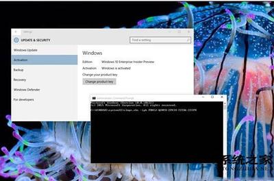 win10预览版10122中AMD GPU问题解决方法
