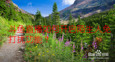 斗鱼app如何找一个陌生人 斗鱼app查找一个陌生人的方法