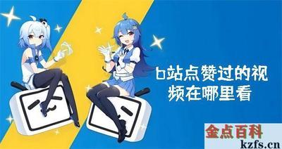 b站点赞过的视频在哪里看 b站点赞过的视频查看方法 b站点赞过的视频在哪里看 b站点赞过的视频查看方法