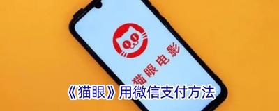 猫眼app可以用微信支付吗 猫眼app微信支付的方法 猫眼app可以用微信支付吗 猫眼app微信支付的方法