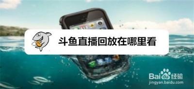斗鱼app怎么看回放斗鱼app查看直播回的方法