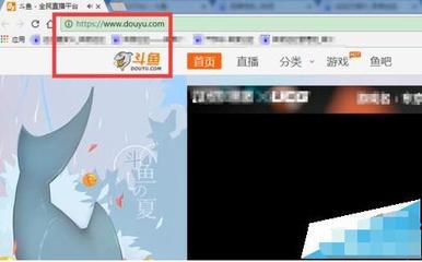 斗鱼网页版登录入口 斗鱼网页版入口介绍