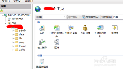 Windows Vista下IIS使用常见问题