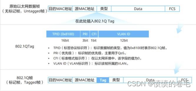 交换机基础知识总结之技术篇
