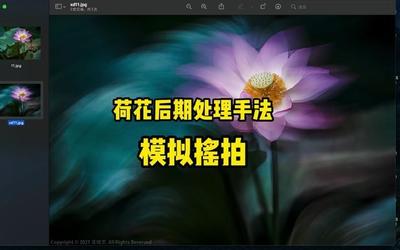 好照片后期处理让你的荷花别样红