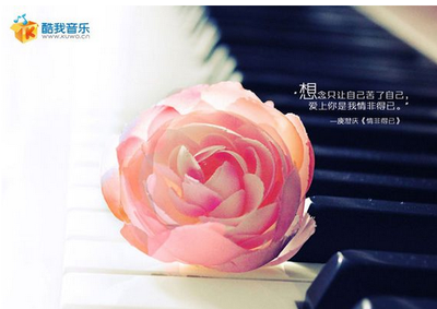 使用酷我音乐无法播放歌曲/MV怎么办 使用酷我音乐无法播放歌曲/MV怎么办