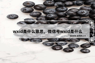 微信中的wxid是什么意思?