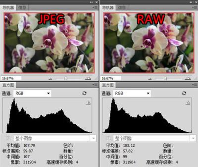 图解JPEG与RAW的选用法则