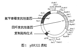 inotask.exe是什么进程 有什么用处 inotask进程是病毒吗