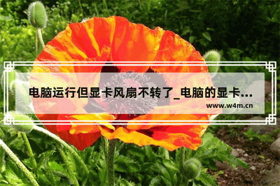 显卡风扇不转了造成电脑死机的解决方法