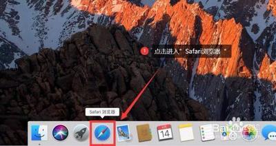 Mac电脑怎么锁定浏览器主页