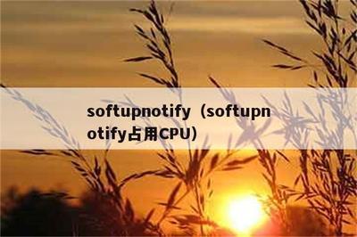 softupnotify.exe是木马进程吗?