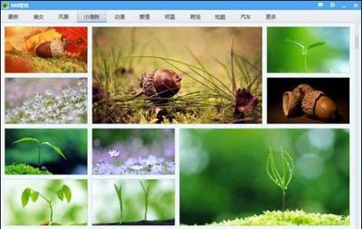 360壁纸独立版介绍