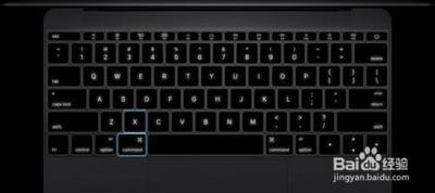 Intel 的Mac电脑上常用快捷启动键组合