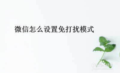 微信免打扰怎么设置