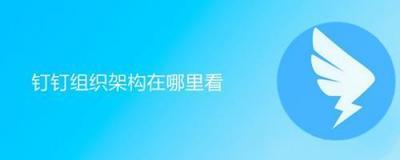 钉钉如何在电脑客户端查看企业的组织架构?