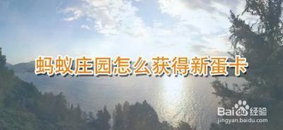 蚂蚁庄园新蛋卡怎么用