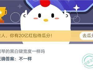 钢琴的黑白键宽度是一样吗 钢琴的黑白键一样宽吗