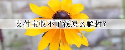 支付宝禁止登陆有什么解决方法