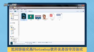图片格式有哪些