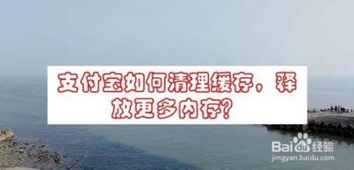 手机支付宝视频缓存怎么清理?