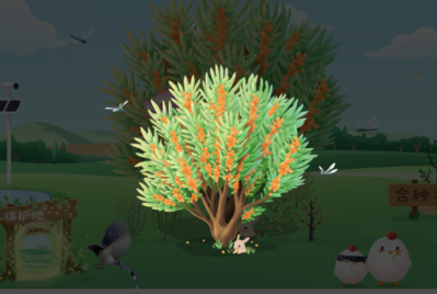 蚂蚁森林沙棘装扮怎么获得 支付宝蚂蚁森林袋鼠沙棘获取教程