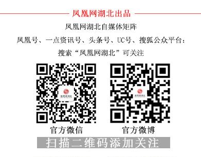 湖北消费券在哪里抢怎么抢