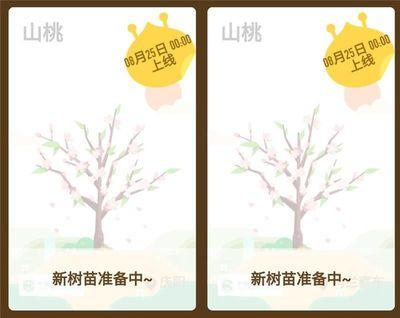 蚂蚁森林粉色书怎么获得 蚂蚁森林千年山桃树获取教程