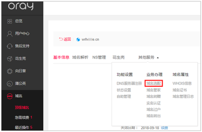 Oray什么是子域名分享