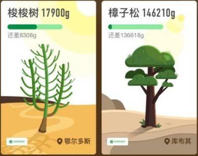 蚂蚁森林口罩怎么兑换 蚂蚁森林口罩怎么获取