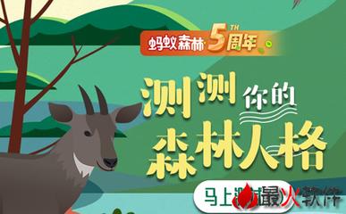 支付宝森林人格测试入口 森林人格测试入口介绍