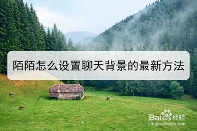陌陌聊天软件怎么设置聊天背景?