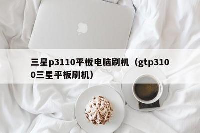 三星P3110怎么刷机