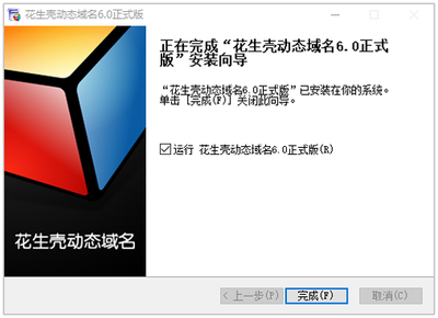 Oray如何设置.检测TXT记录