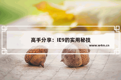 IE9整合下载管理员使下载更方便