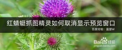 红蜻蜓抓图精灵启动抓图精灵时跳出正在配置Office窗口