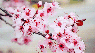 用美图看看和家人分享元宵节温情照片千里寄相思