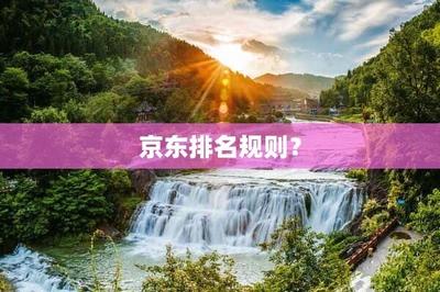 京东销量排行榜怎么看，京东销量怎么提升