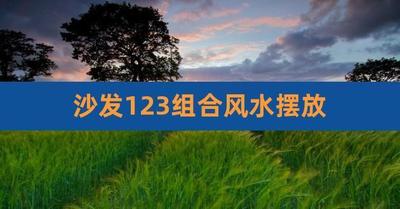 沙发123组合怎么摆比较好，沙发123组合和113组合哪个好