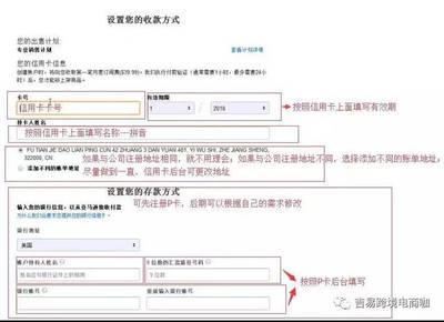 亚马逊跨境收款账户怎么办理，亚马逊跨境收款账号是用个人还是企业账号